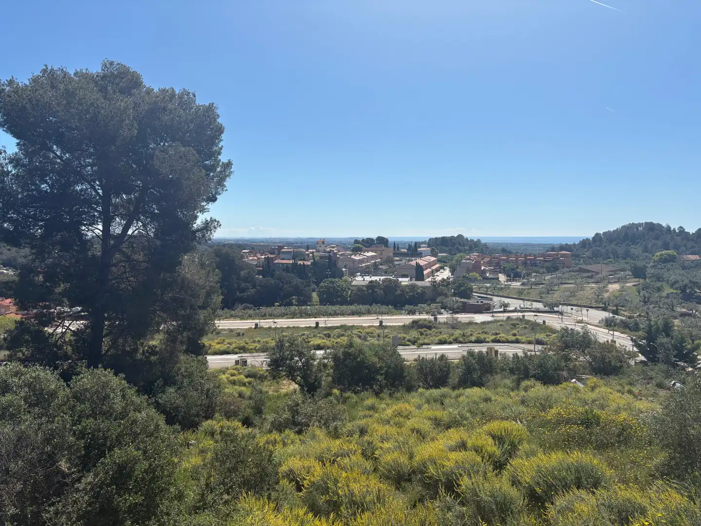 Terreno residenziale in vendita a Carrer de la Bruguera 289, imagen 3