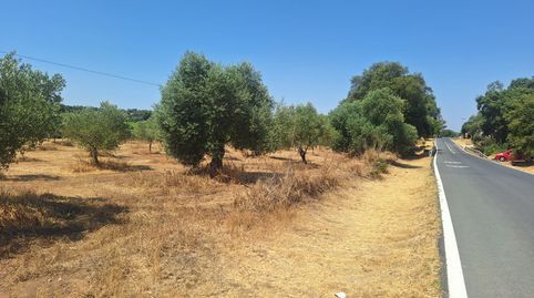 Foto 5 de Terreny en venda a N/a, -1, Beas, Huelva