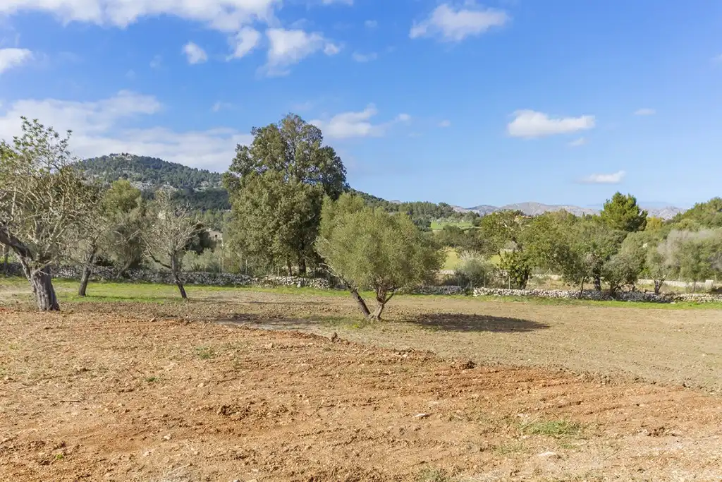 Land for sale in Pollença