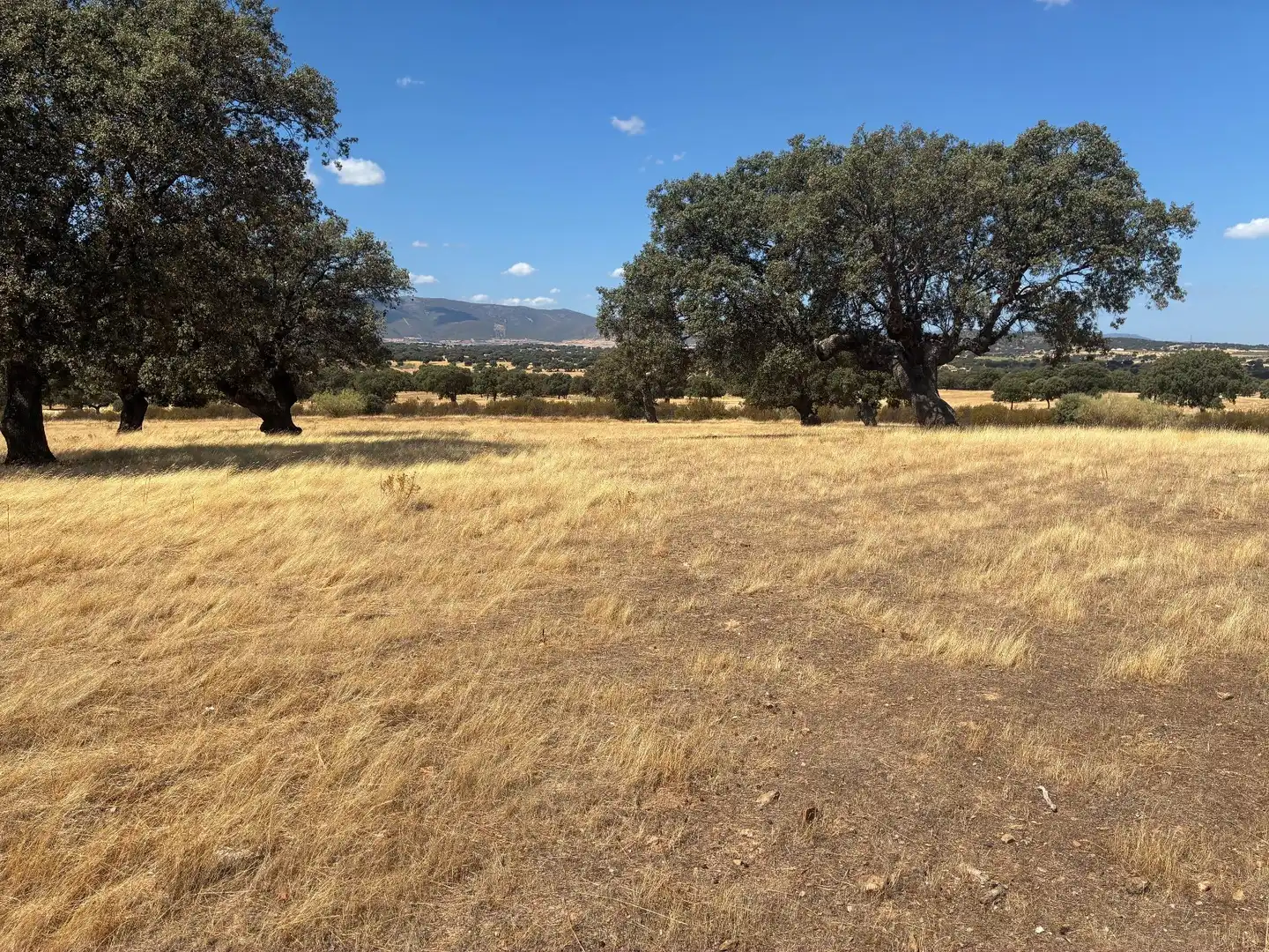 Terreno rustico in vendita a Mohedas de la Jara