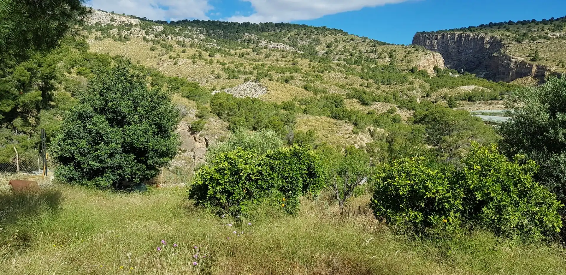 Casa o chalet en venta en Aledo con Terraza y Trastero
