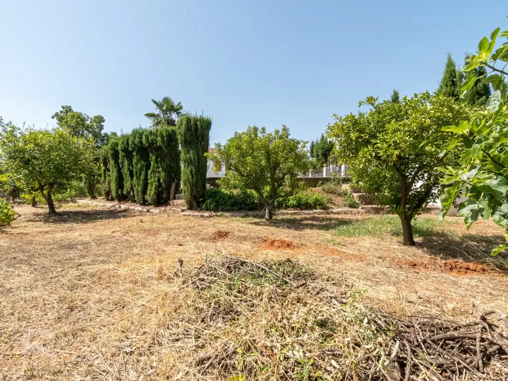 Casa o xalet en venda en Gandia