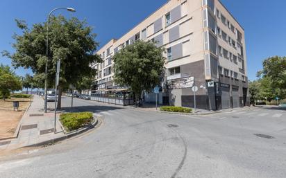 Wohnung zum verkauf in Calle de Circunvalación, 3, Carretera de Granada - La Alcazaba, Alhendín