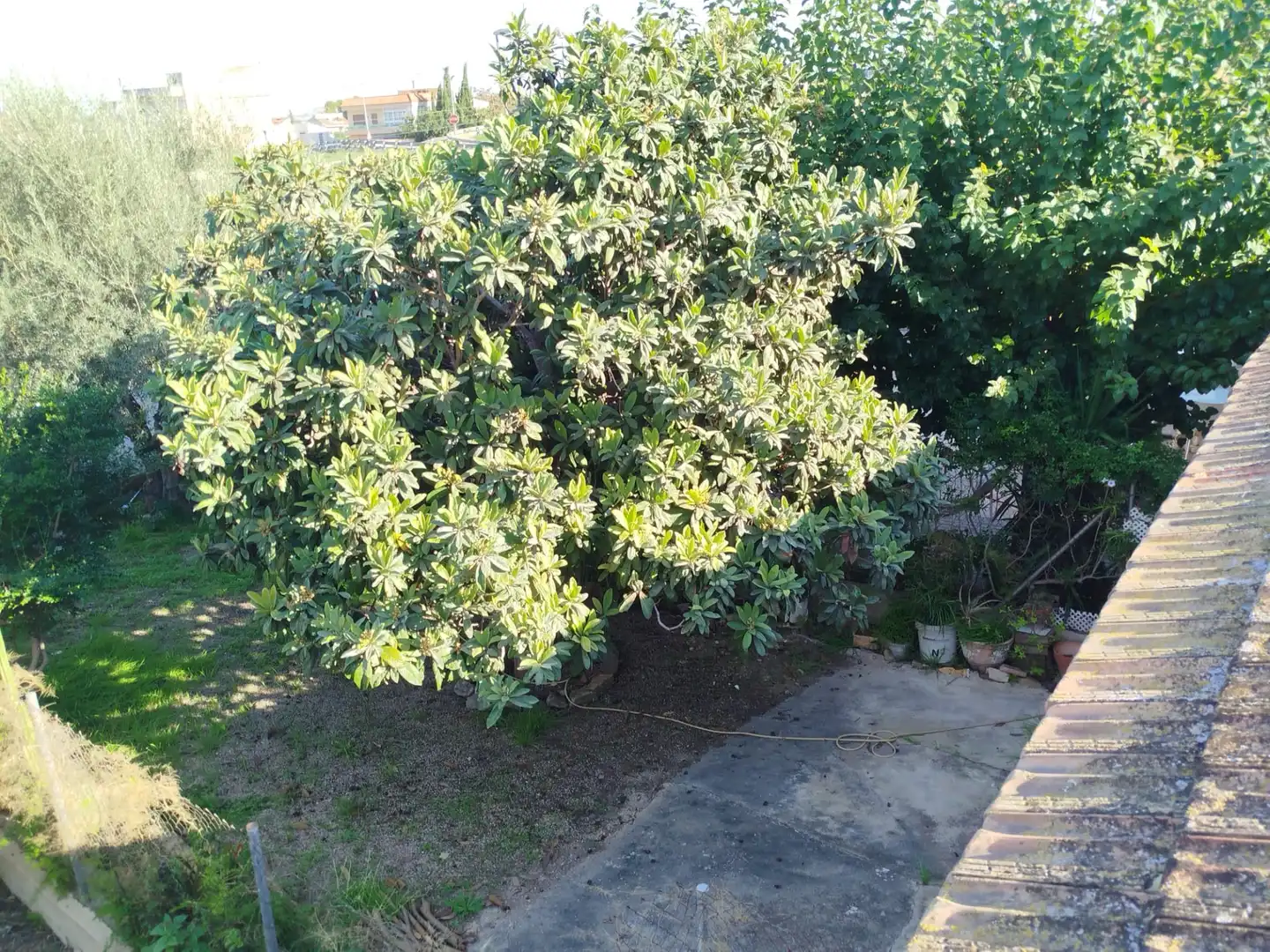 Country homes for sale in Murcia