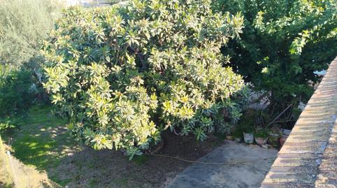 Photo 4 of Country house for sale in Garres y Lages, Murcia