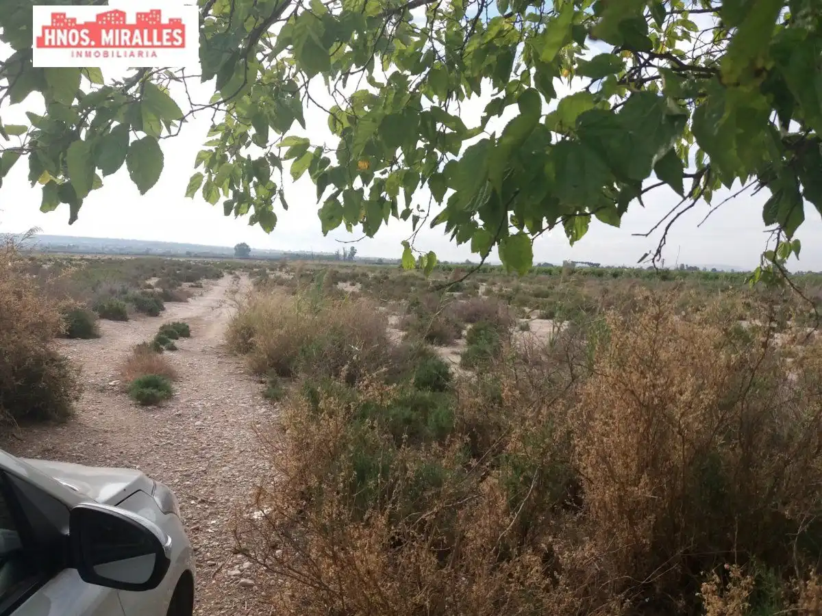 Terreno rustico in vendita a Dolores, imagen 5