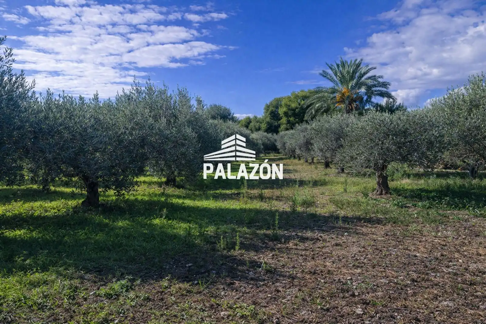 Maison rustique à vendre à Crevillent, imagen 7