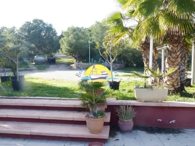 Garden of Houses for sale in Totana  with Private garden, Terrace and Storage room