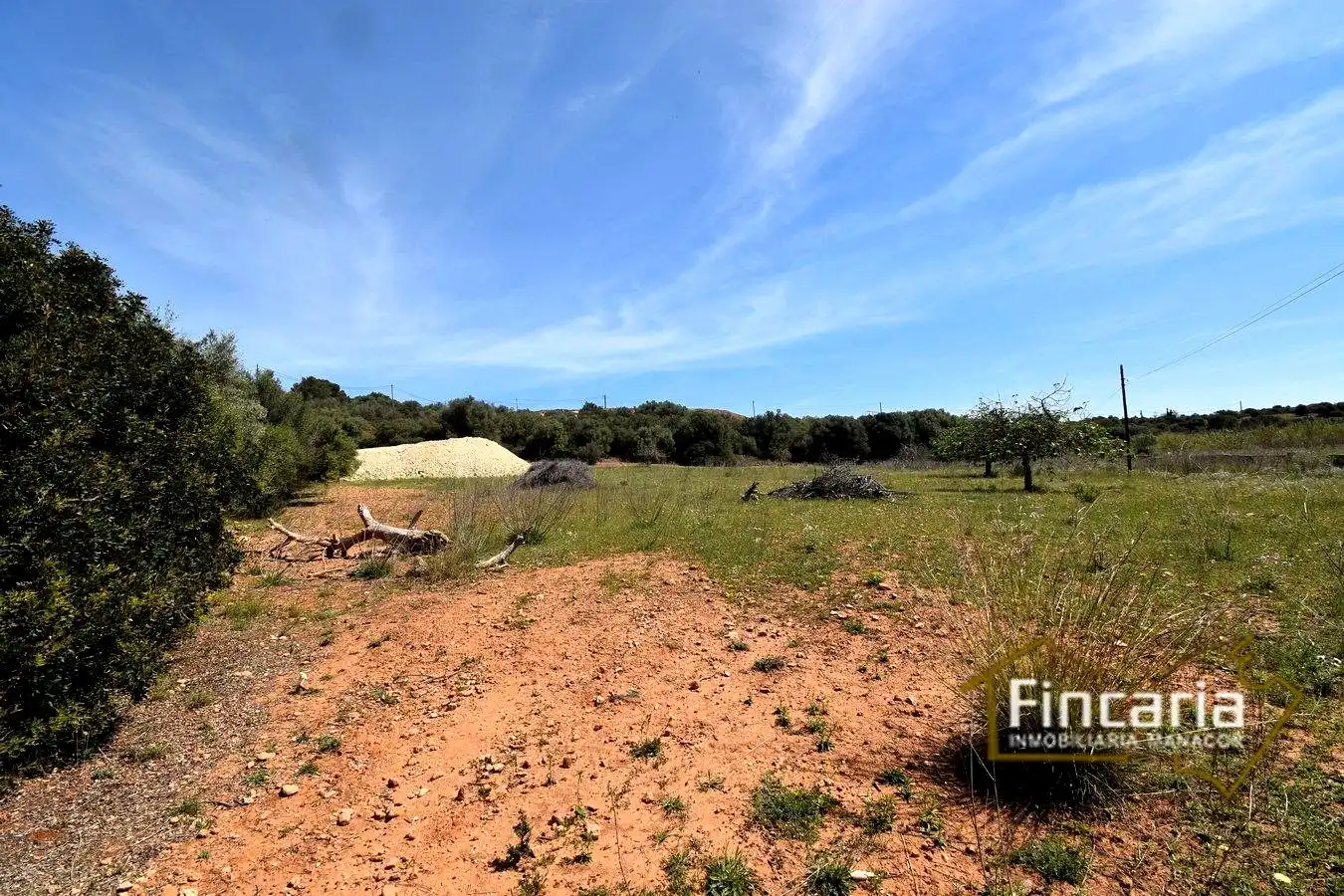 Rural land for sale in De La Torre Nova, imagen 18