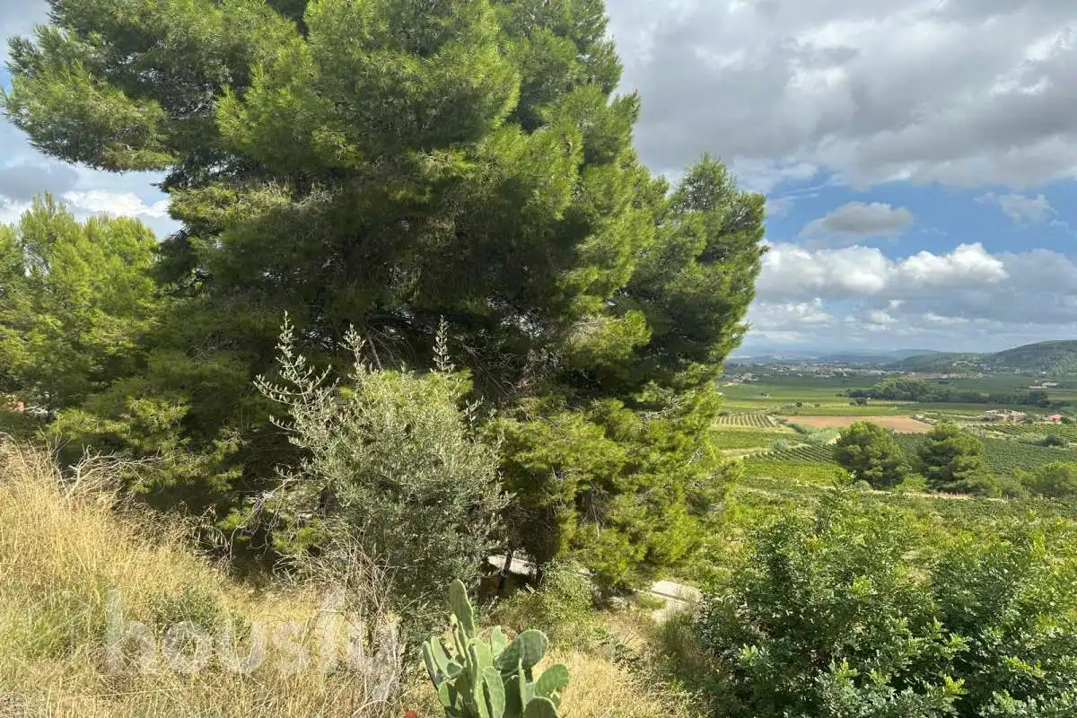 Terrenys i solars en venda a Carrer Cirerer (Can Coral) ., imagen 4