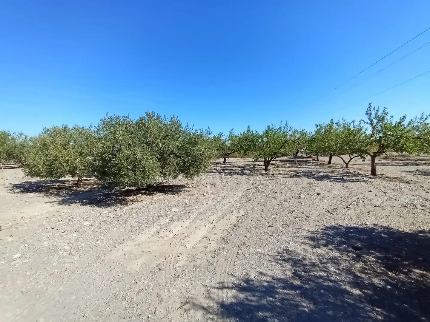 Terreni e lotti in vendita a Pedanías Sur, imagen 17