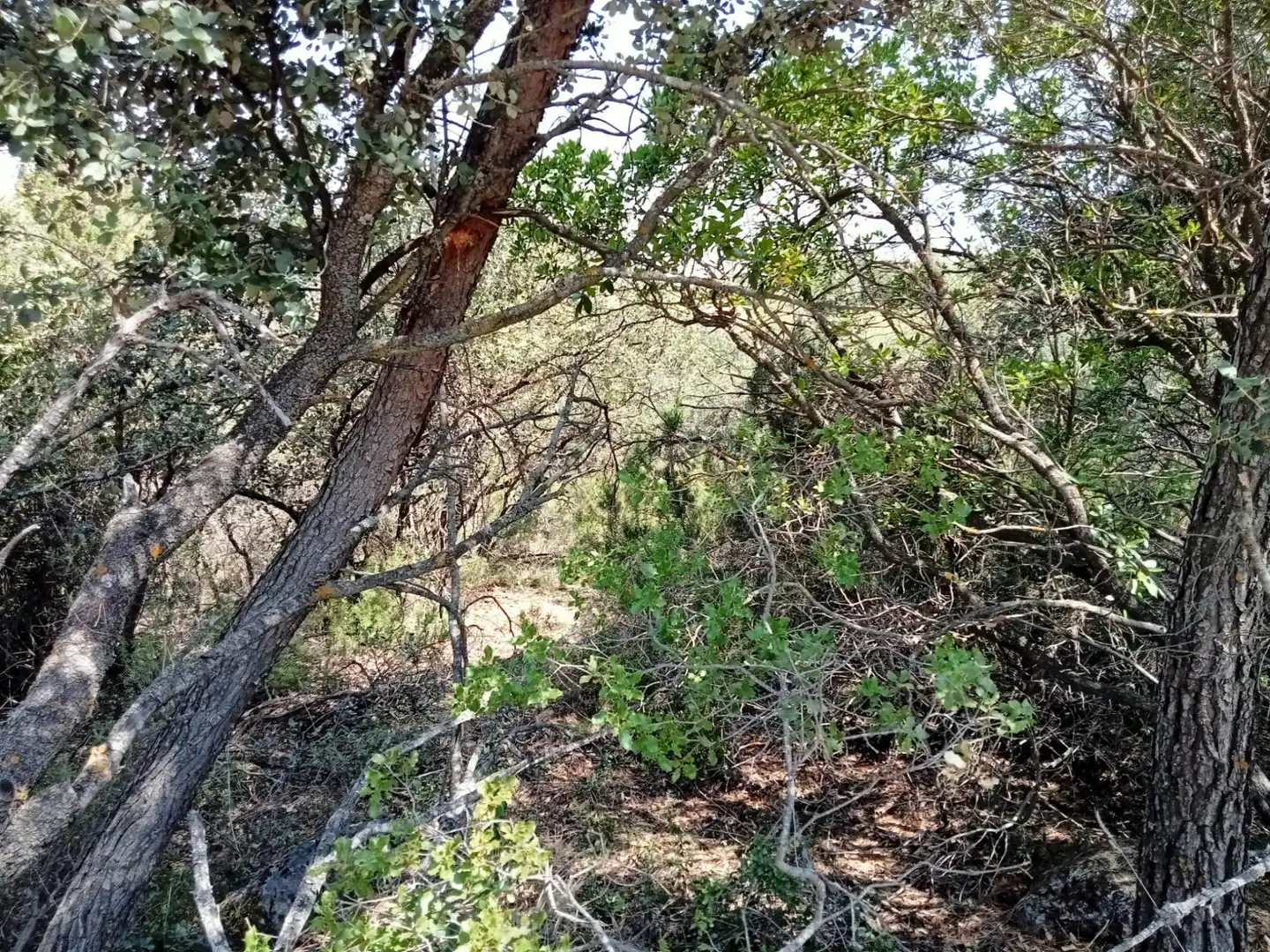 Residential land for sale in Urbanizacion 19119