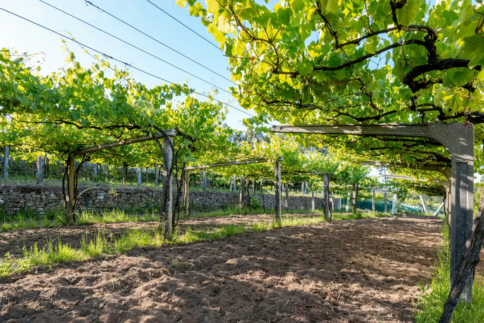 Casa rústica en venda a Vilanova de Arousa, imagen 18