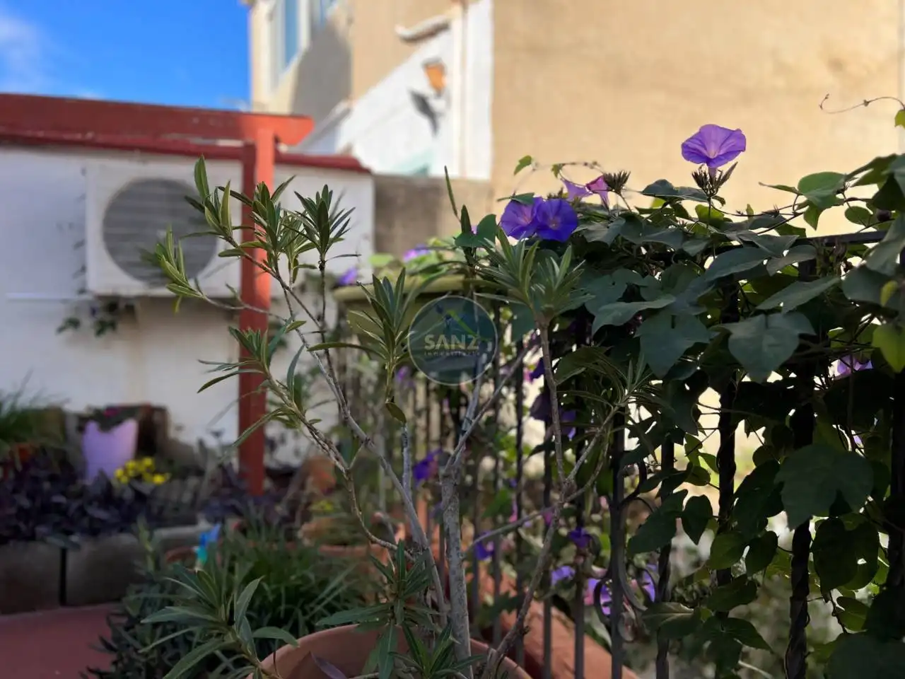 House with garden for sale in Calle Forns, imagen 13
