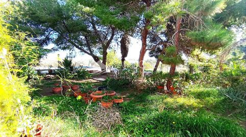 Photo 4 of Houses for sale in El Altet, Elche / Elx