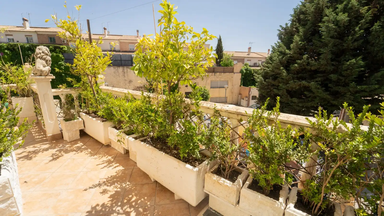 Chalet con terraza en venta en Calle Úbeda, imagen 60
