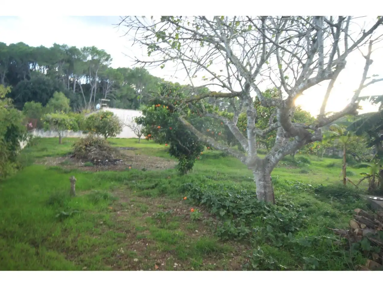 Finca rústica en venta en Costitx con Terraza
