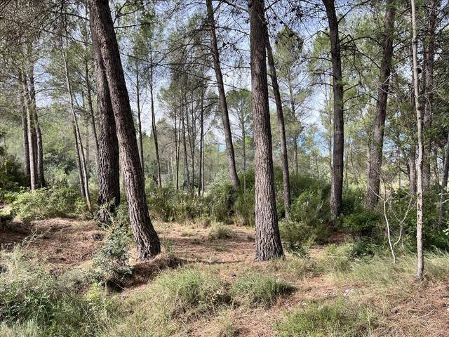 Terreno residencial en Venta en Polígono 23. Parcela en Bicorp