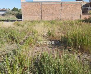 Land for sale in Almacelles