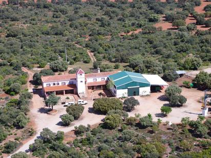 Vista exterior de Finca rústica en venda en Ossa de Montiel amb Aire condicionat i Terrassa