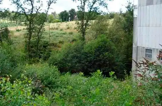 Residential land for sale in Ordes, imagen 4