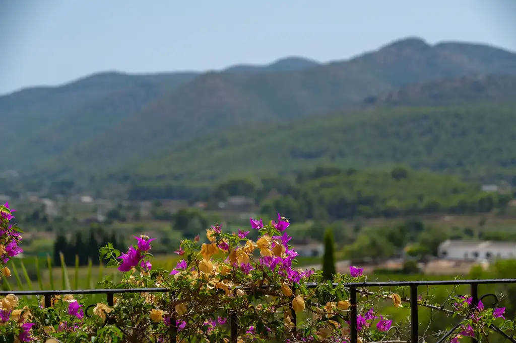 Casa con terrazza in vendita a Xaló, imagen 11