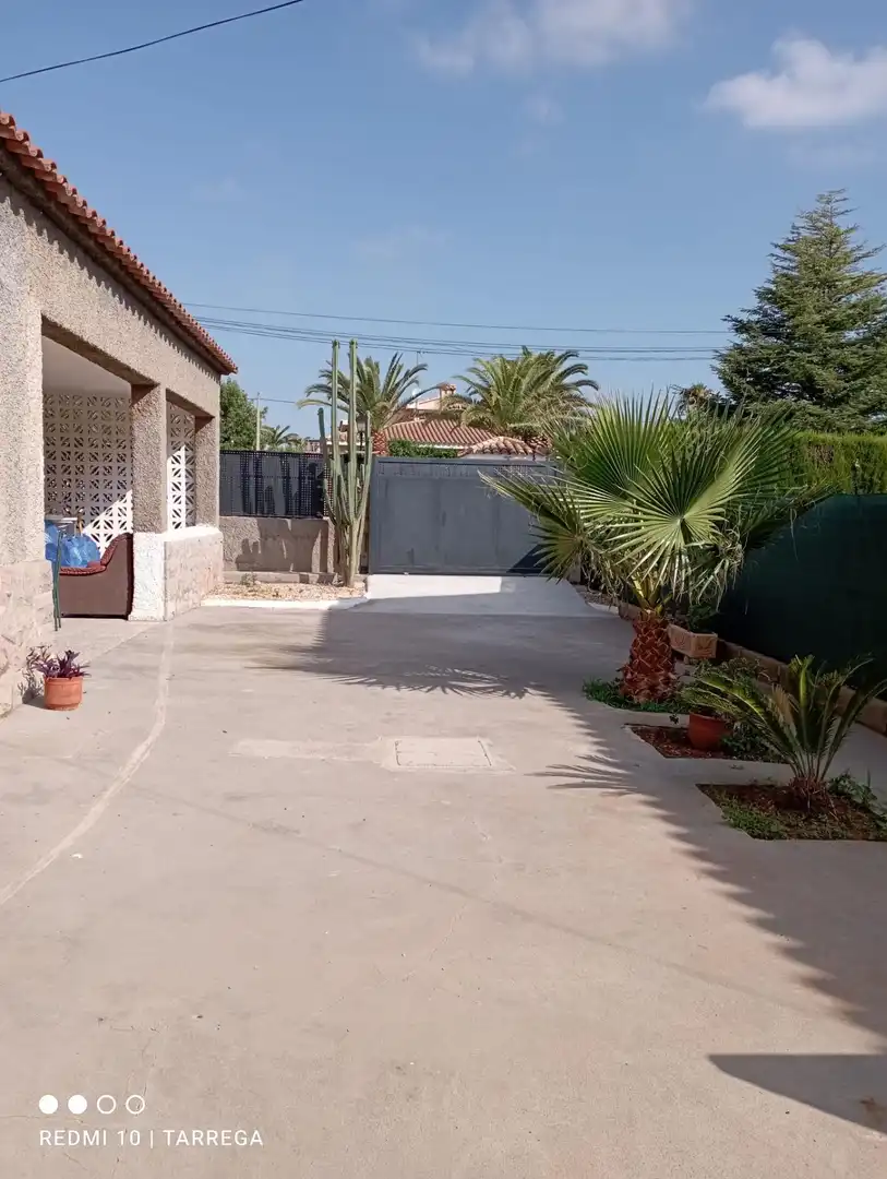 Exterior view of Houses for sale in Vila-real  with Private garden, Terrace and Swimming Pool