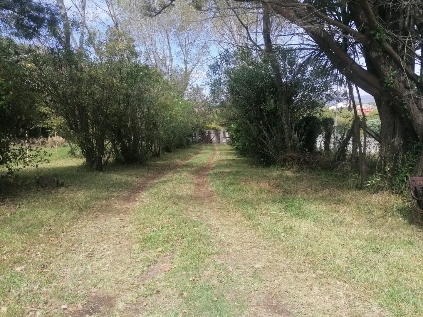 Terreni e lotti in vendita a Palmeira