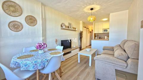 Photo 2 of Planta baja for rent in Mil Palmeras, Pilar de la Horadada