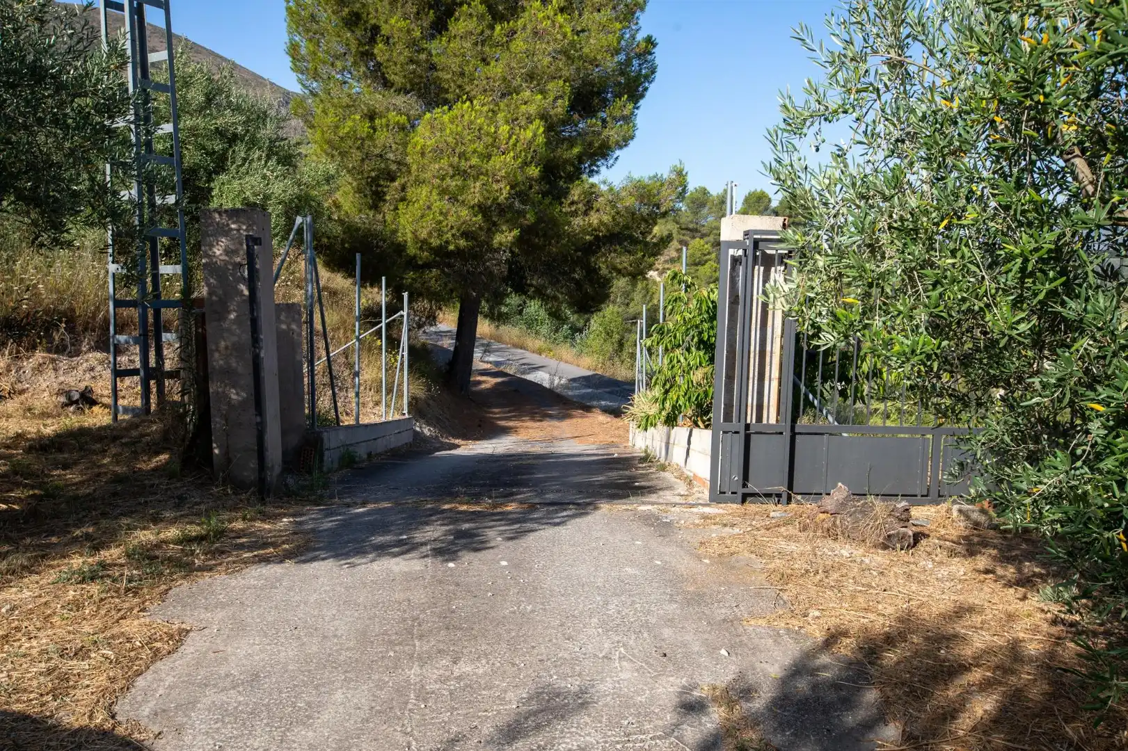 Vista exterior de Casa o xalet en venda en Almudaina amb Moblat