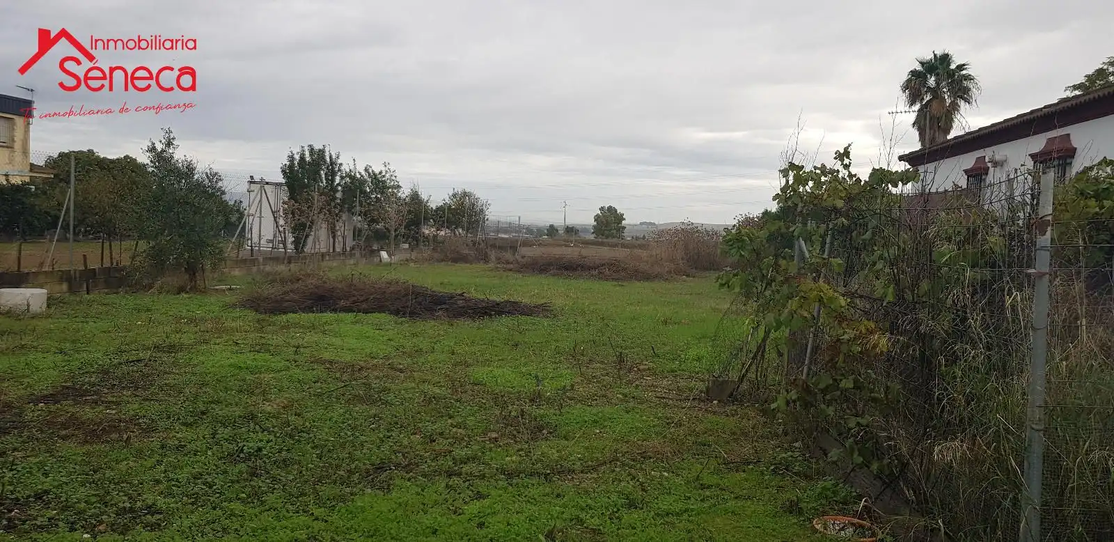 Terreny rústic en venda a MIRALQUIVIR