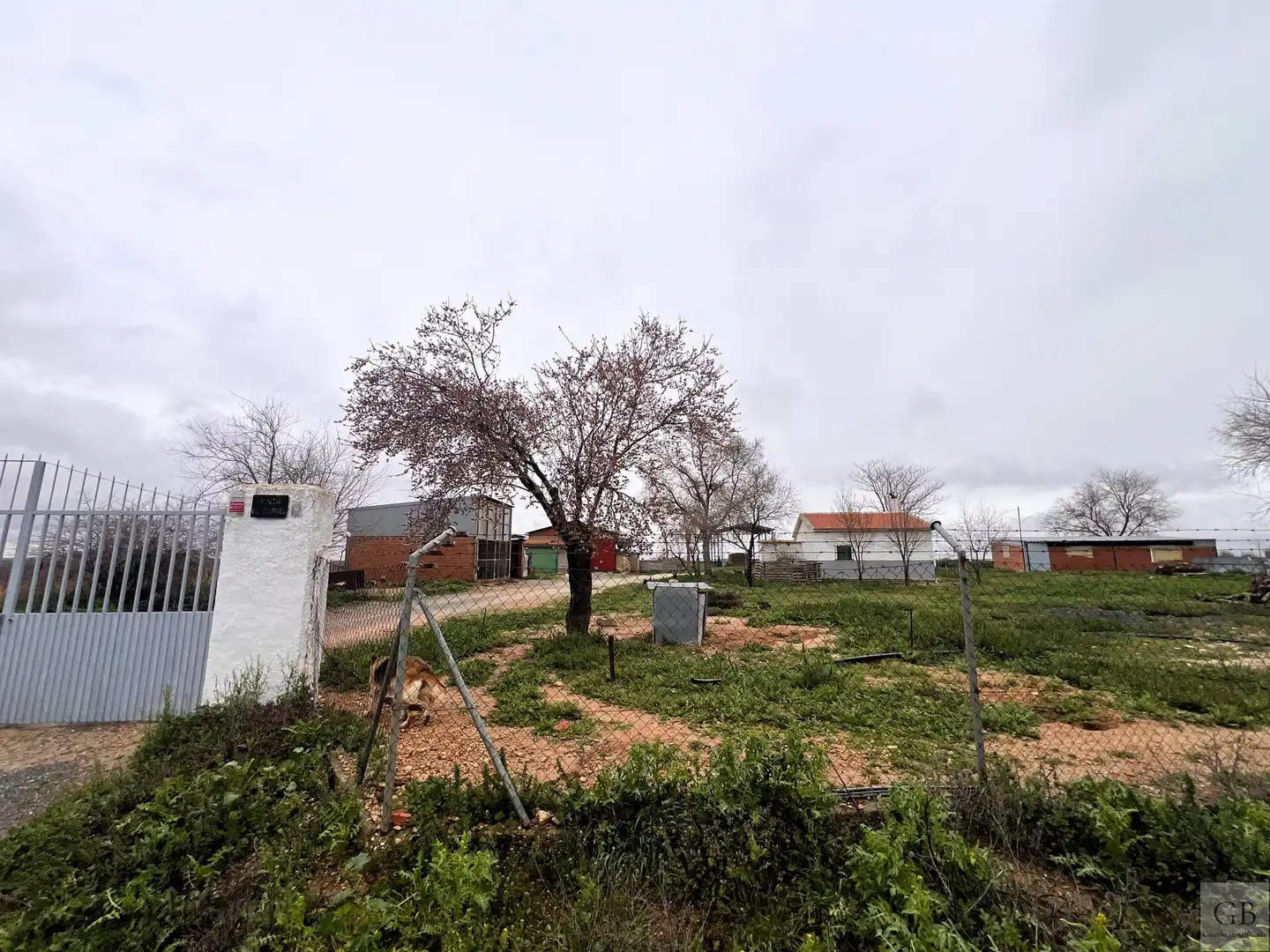 Terreny en venda a Consuegra