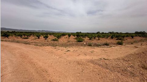 Foto 3 de Residencial en venta en Polígono 20. Parcela, Utiel, Valencia