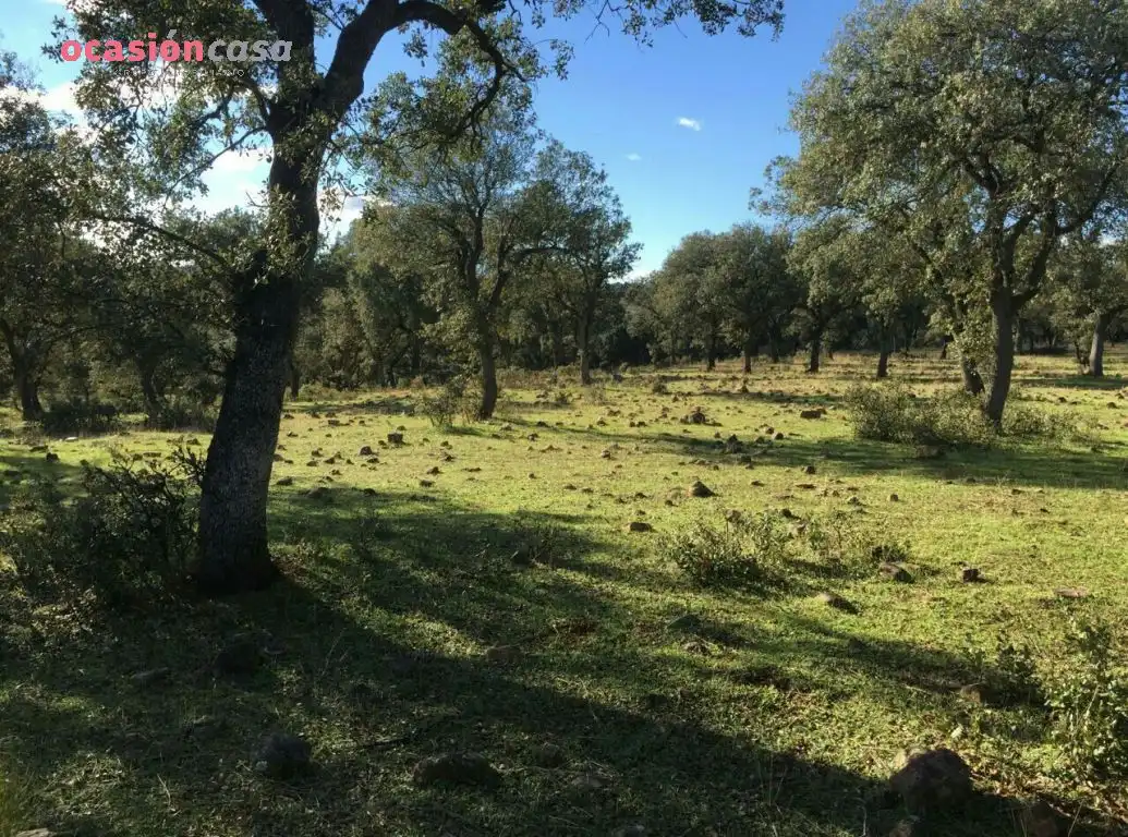 Country homes for sale in Torrecampo