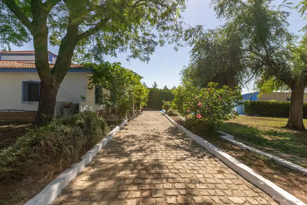 Maison avec terrasse à vendre à Bollullos de la Mitación, imagen 42