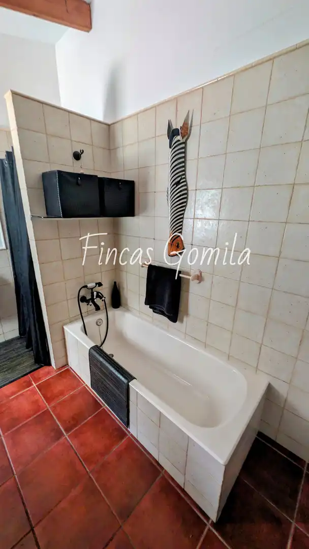 Baño de Casa o chalet en venta en Es Mercadal con Jardín privado y Terraza