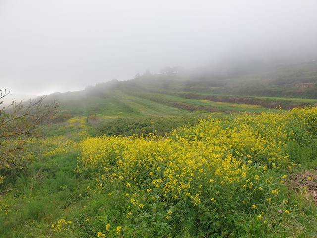 Terreno en Venta en Hermandad de Campoo de Suso