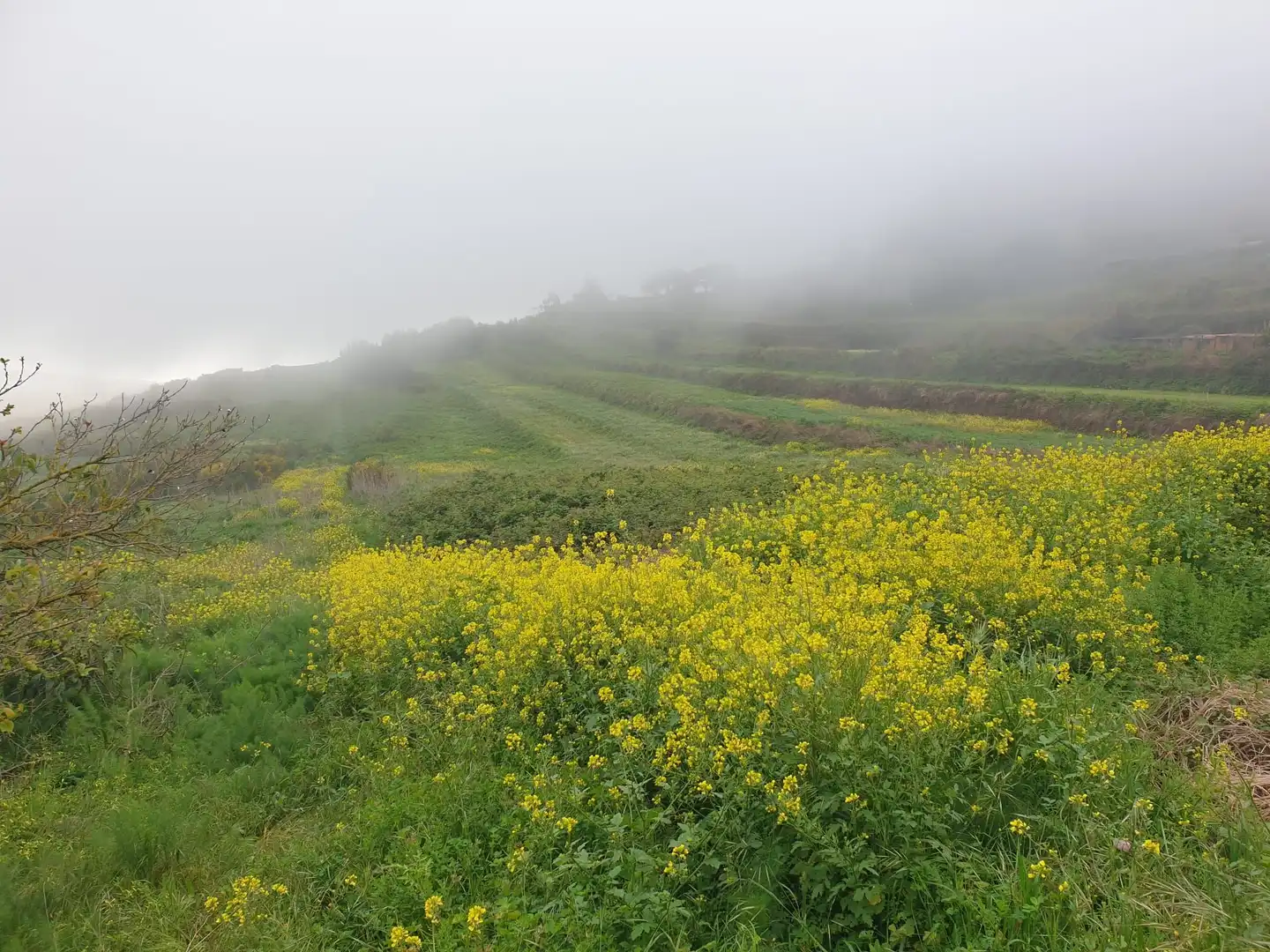 Terreni e lotti in vendita a Hermandad de Campoo de Suso