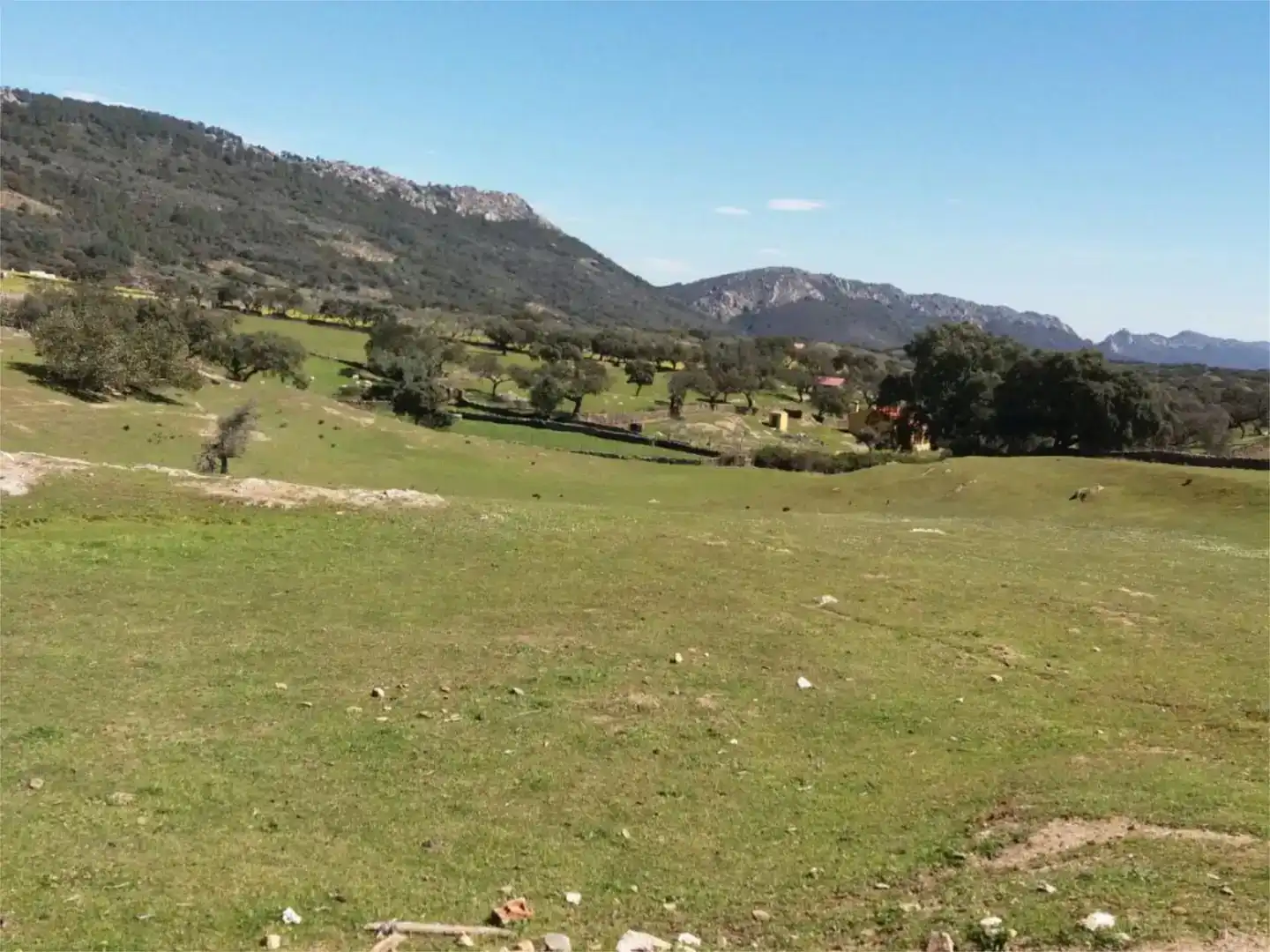 Terreno en venta en Serradilla
