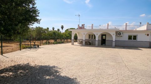 Excepcional Finca Rústica Recién Reformada con Piscina y 5.200 m2 de Parcela en El Pintado, Gibraleón, imagen 5