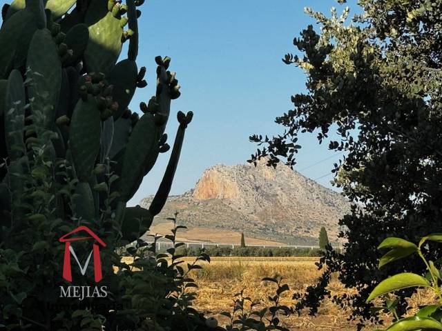 Terreno residencial en Venta en Centro