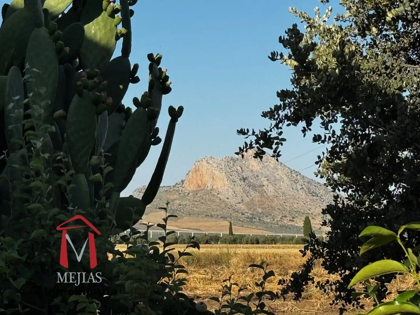 Lands and plots for sale in Centro