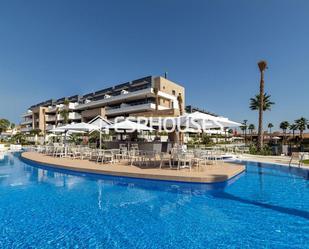 Piscina de Apartament en venda en Orihuela amb Terrassa, Traster i Balcó