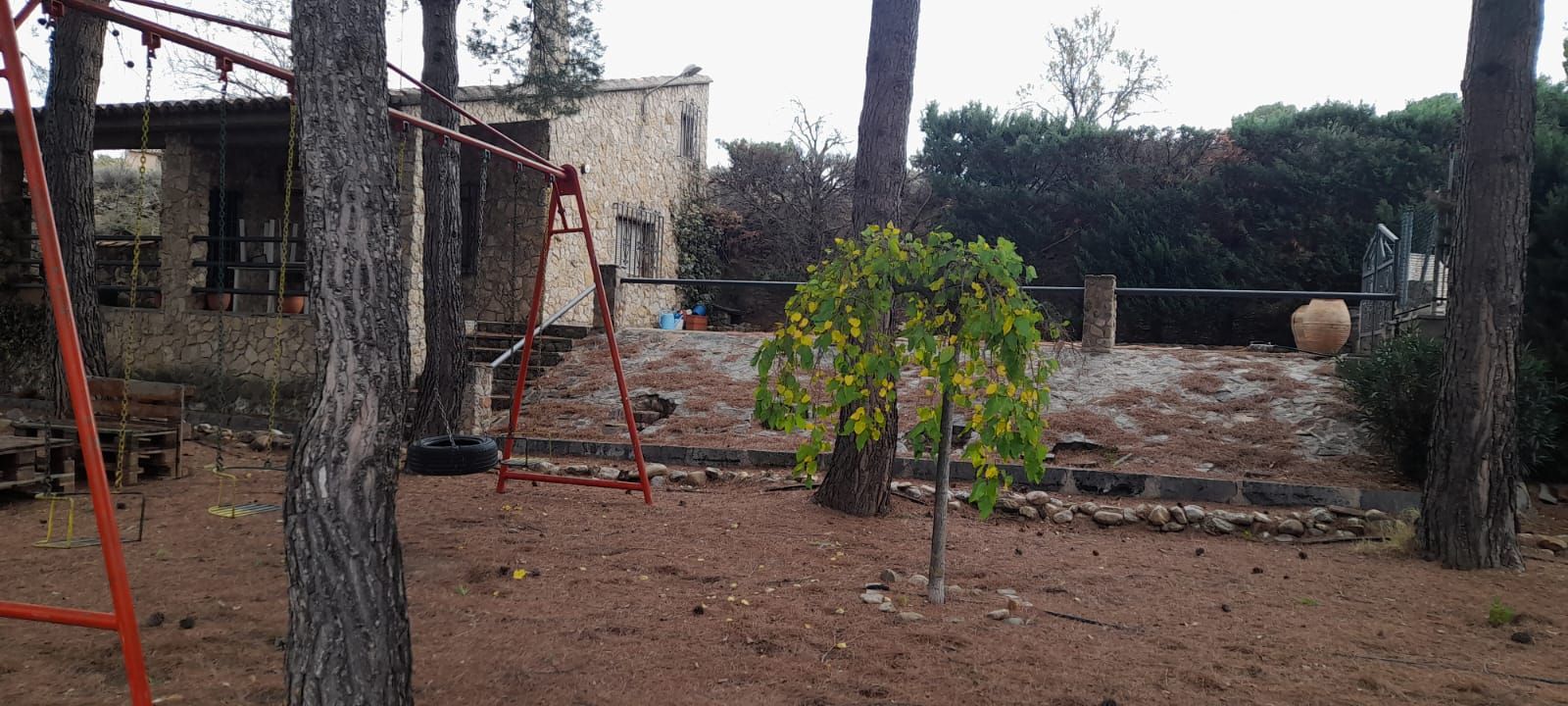 Garden of Industrial land for sale in Calatayud