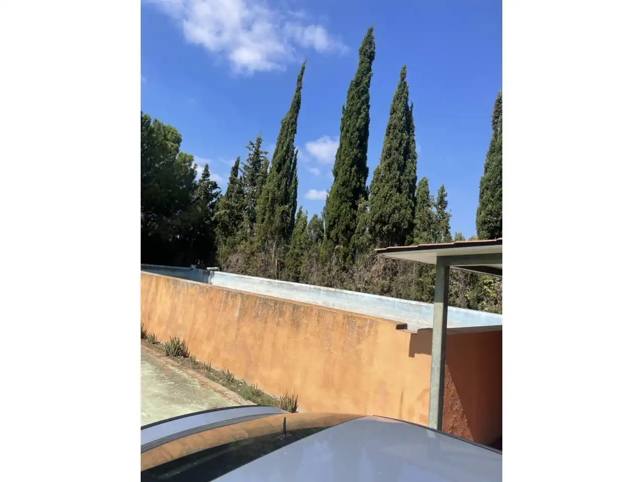 Vista exterior de Casa o chalet en venta en Móra d'Ebre con Aire acondicionado, Calefacción y Jardín privado