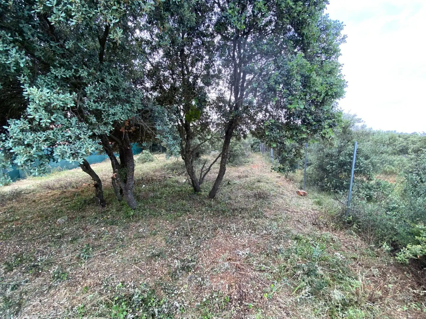 Terreno residenziale in vendita a Pioz, imagen 5