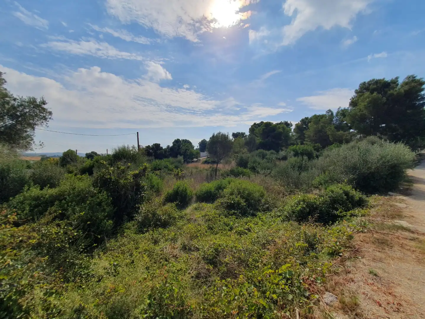 Terrain rustique à vendre à Carrer Riu Francolí 44, imagen 5