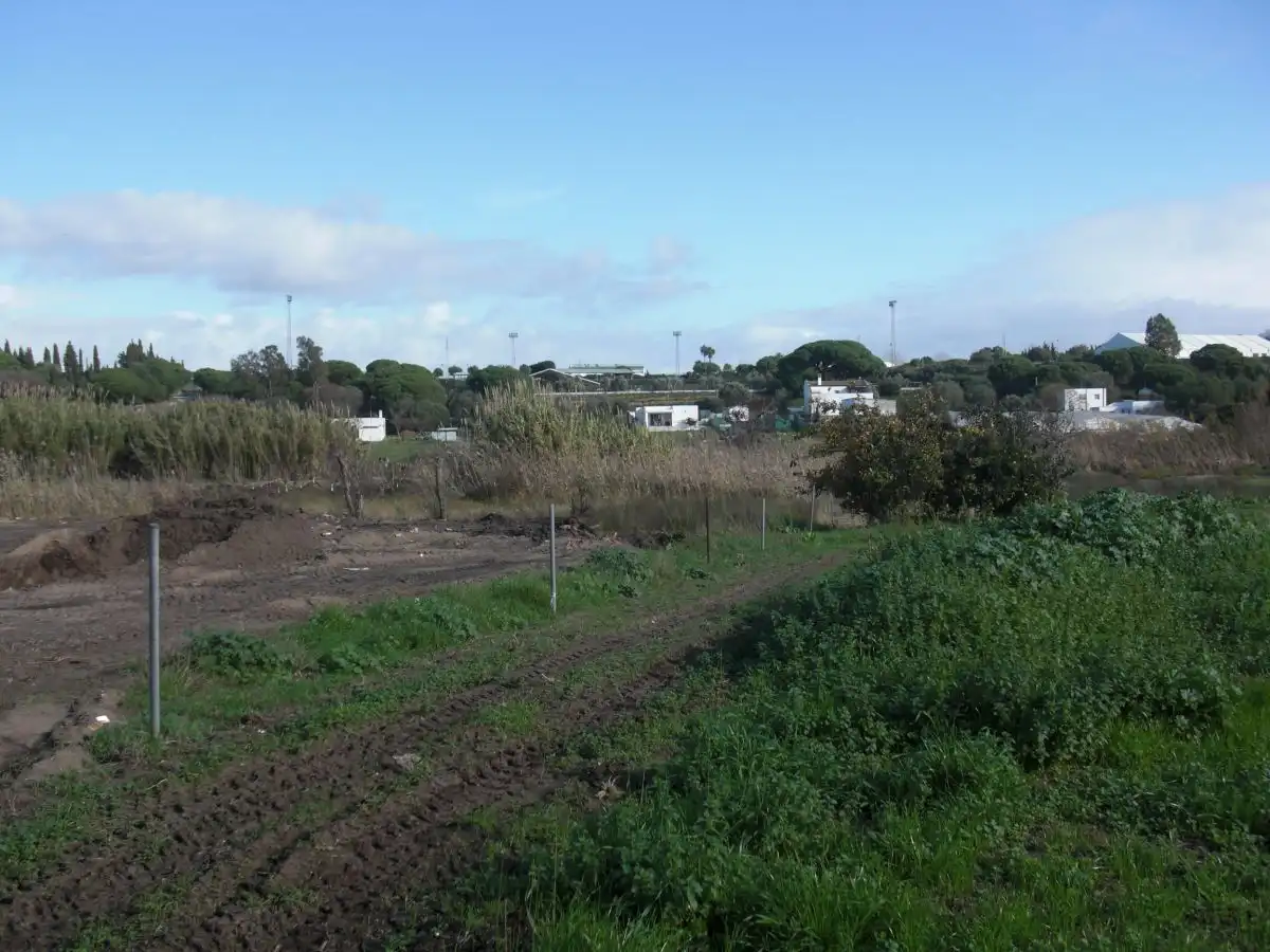 Casa rústica en venda a Barbate ciudad, imagen 9