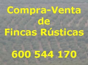Rural land for sale in Quesada