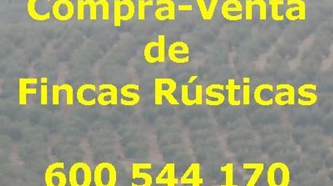 Finca Rúst. en venta en Quesada.